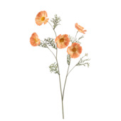 Cosmos spray geel 70cm