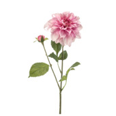 Dahlia spray roze 70cm