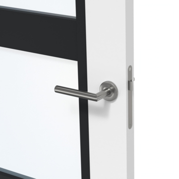 Arne & Bodil binnendeur ABB102 blank glas - wit afgelakt - glaslat diep zwart