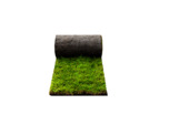 Basic graszoden per m²