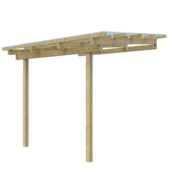 Overkapping aanbouw 300x250 cm