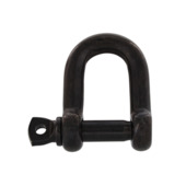 D-sluiting 10mm RVS Zwart