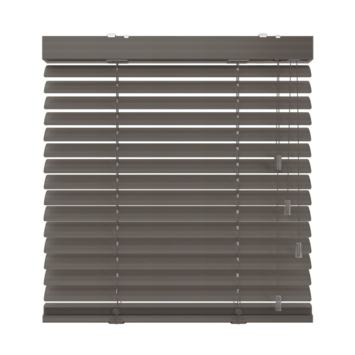 KARWEI aluminium jaloezie gewoon raam 28402 geborsteld metaal 50 mm op maat