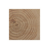 Tuinpaal Douglas hout fijnbezaagd 10 x 10 x 300 cm