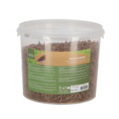 Gedroogde meelwormen in emmer 700 gram