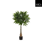 Pachira in pot groen - h80xd60cm