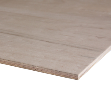 Multiplex plaat hardhout exterieur 244 x 122 cm 18 mm verlijmd kopen? Constructieplaten | Karwei