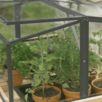 Royal Well broeikas klein Parsley Planter Small groengrijs 60 x 80 x 46 cm kopen? Tuinkassen | Karwei