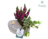 Allerheiligen hart met arrangement potmaat 17 cm