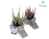 Allerheiligen kruis cement met Calluna potmaat 20 cm