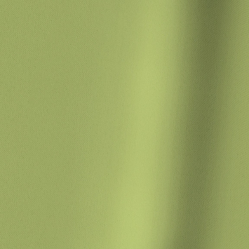 Gordijn Jack 1278 grass green
