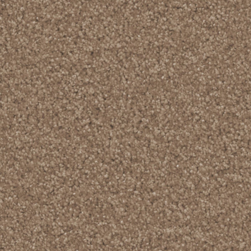 Tapijt kamerbreed Montana sesam bruin - per cm