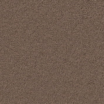 Tapijt kamerbreed Virginia bruin - per cm