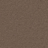 Tapijt kamerbreed Virginia bruin - per cm