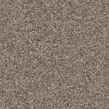 Tapijt kamerbreed Missouri taupe - per cm
