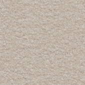 Tapijt kamerbreed Montana champagne - per cm