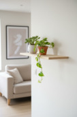 Duraline wandplank solid pine 80 cm